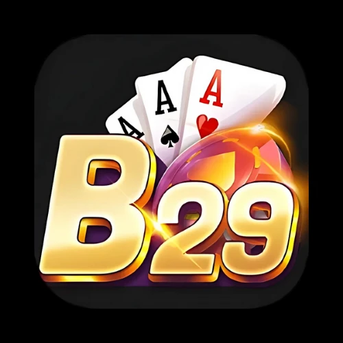 B29